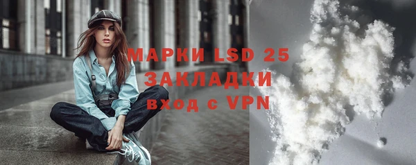 индика Абаза