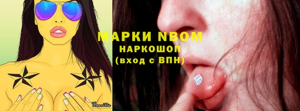 индика Абаза