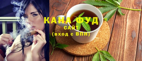 индика Абаза