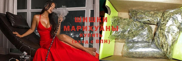 индика Абаза