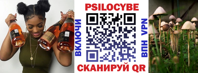 продажа наркотиков  Чкаловск  Псилоцибиновые грибы мицелий 